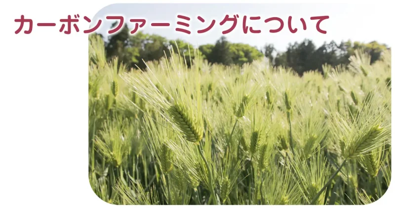 pagetop_03